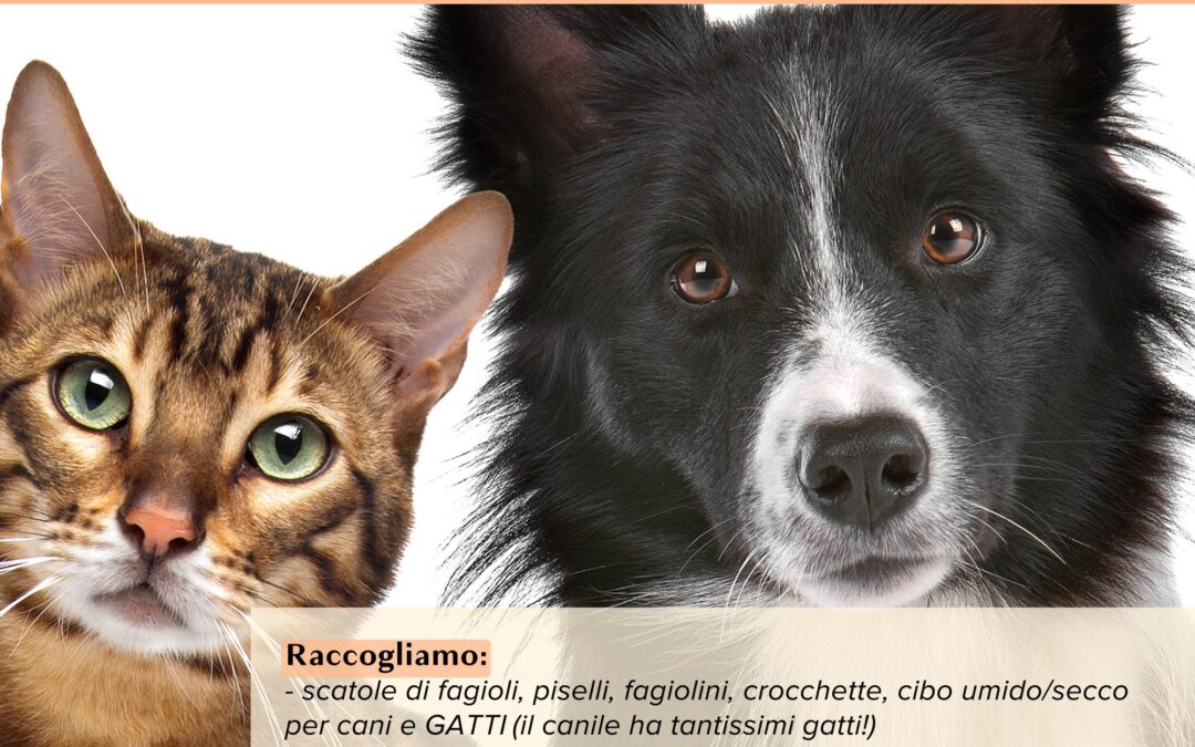 4 marzo 2023 – S.O.G.IT. Lonigo aiuta il Canile di Arzignano!